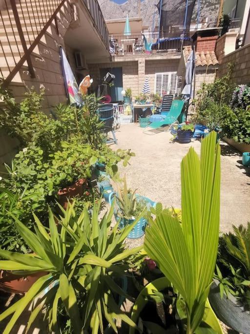 Makarska Blue Oasis Apartman 2-6 Exteriör bild