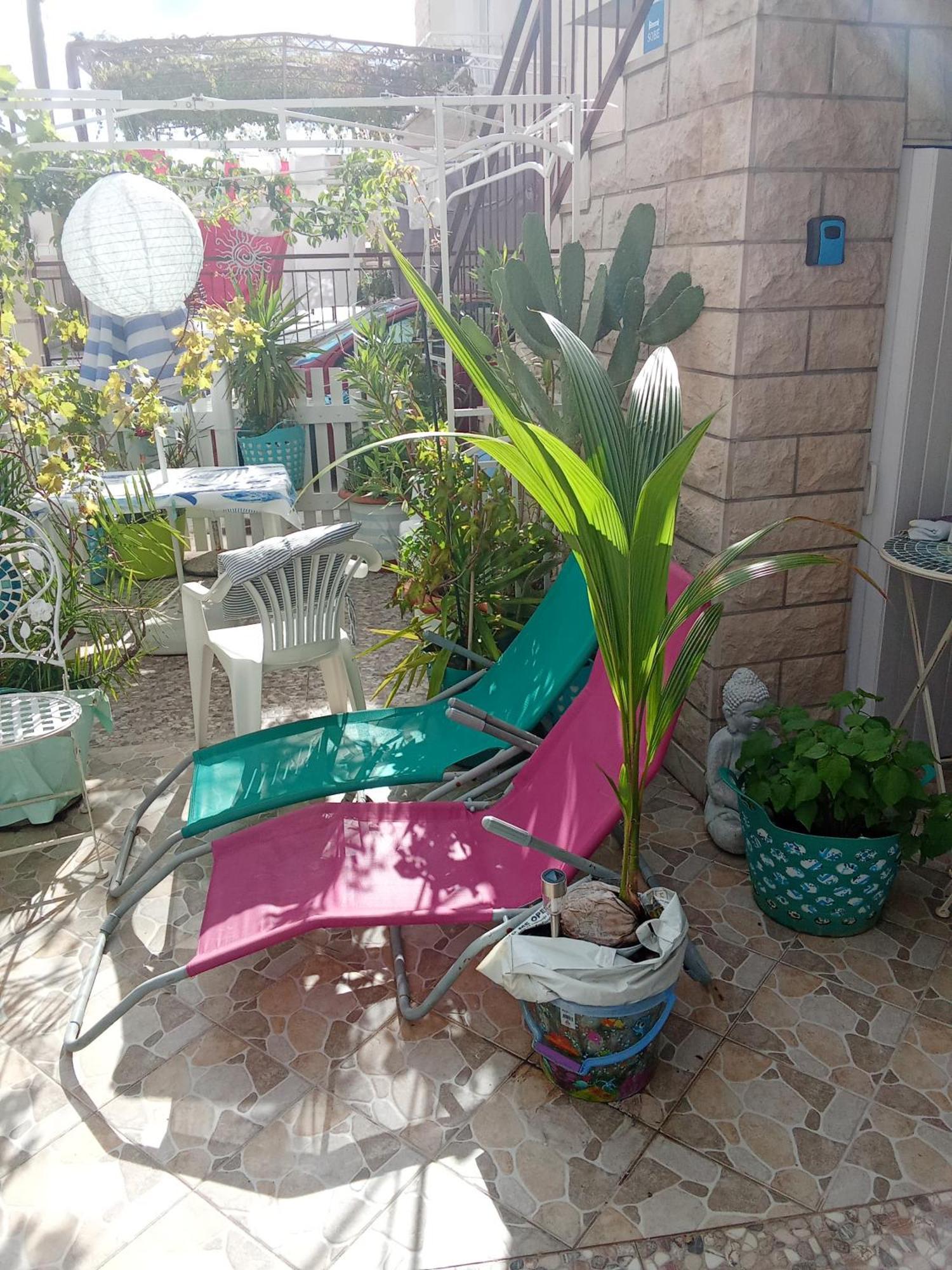 Makarska Blue Oasis Apartman 2-6 Exteriör bild